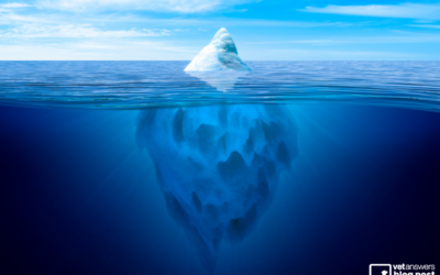 Transform your Veterinary Leadership Part 2: The Art of Effective Communication & The Iceberg Theory